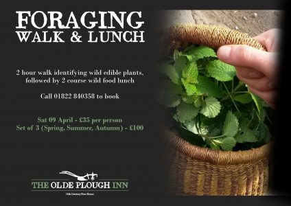 Foraging Walk and Lunch