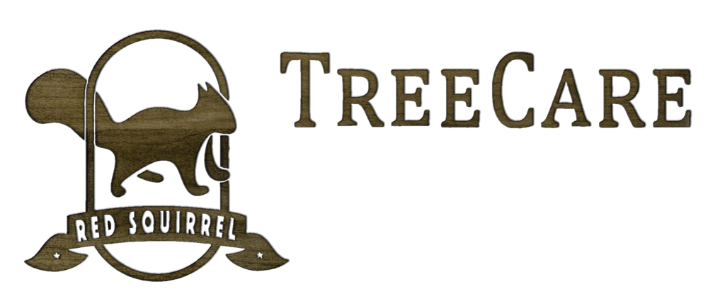 red squirrel tree care logo