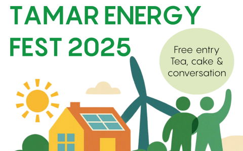 Tamar Energy Fest 2025