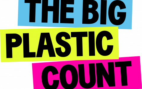 The Big Plastic Count